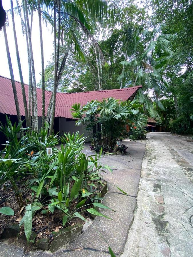 Reservamazon Forest Hotel เบเลม ภายนอก รูปภาพ